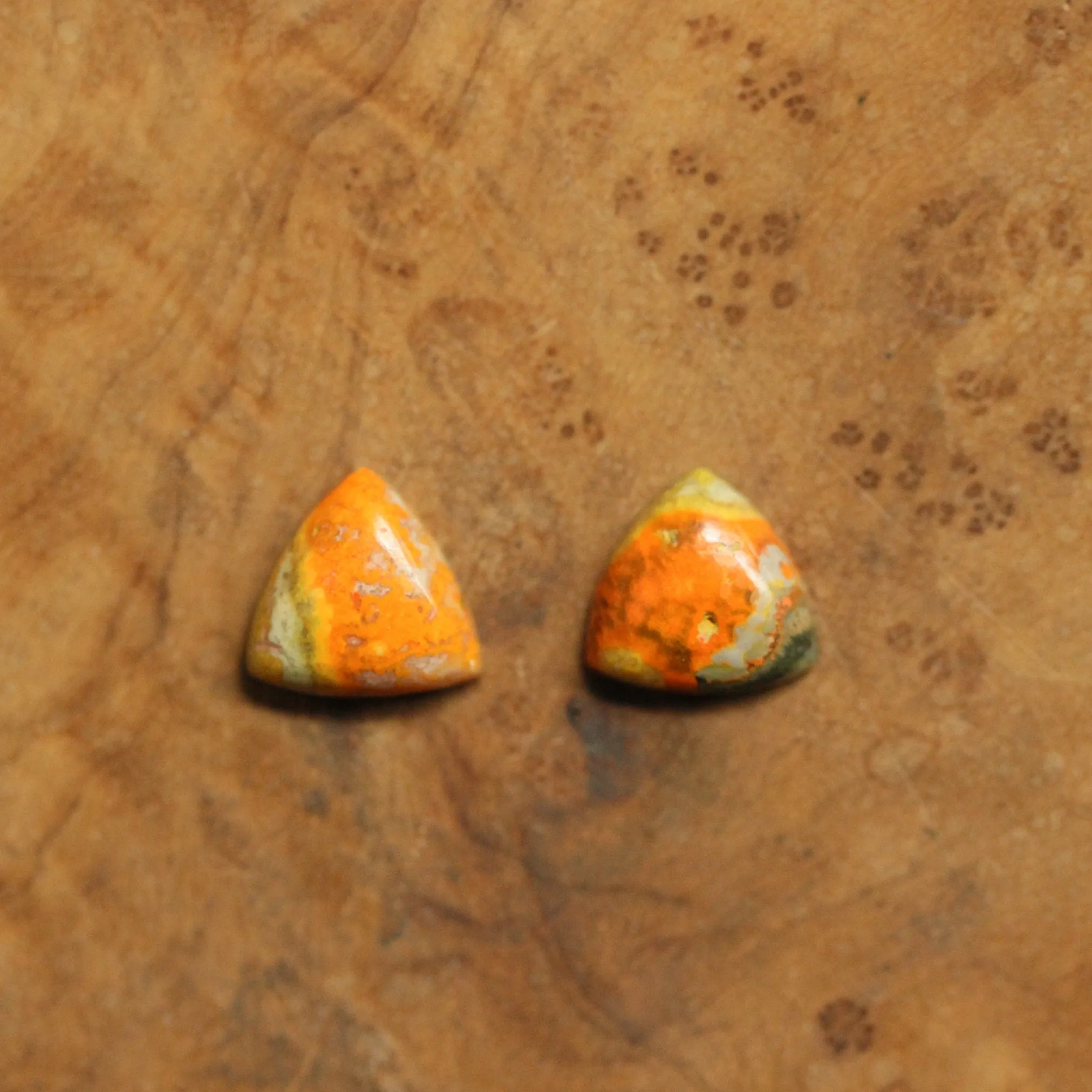 Bumble Bee Jasper Posts - Bumble Bee Jasper Earrings - .925 Sterling Silver