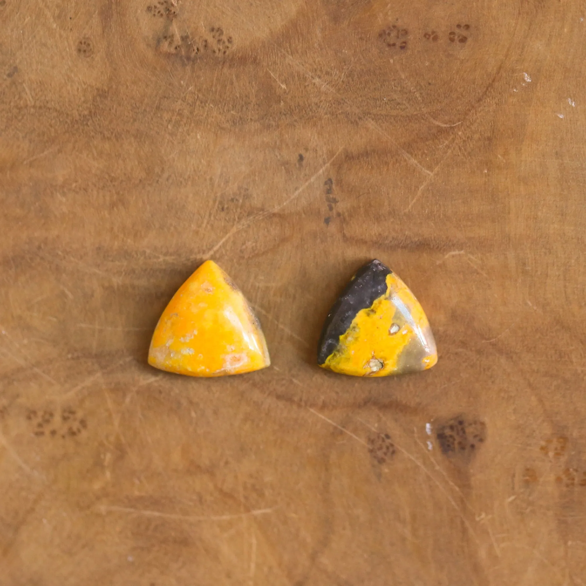 Bumble Bee Jasper Posts - Bumble Bee Jasper Earrings - .925 Sterling Silver