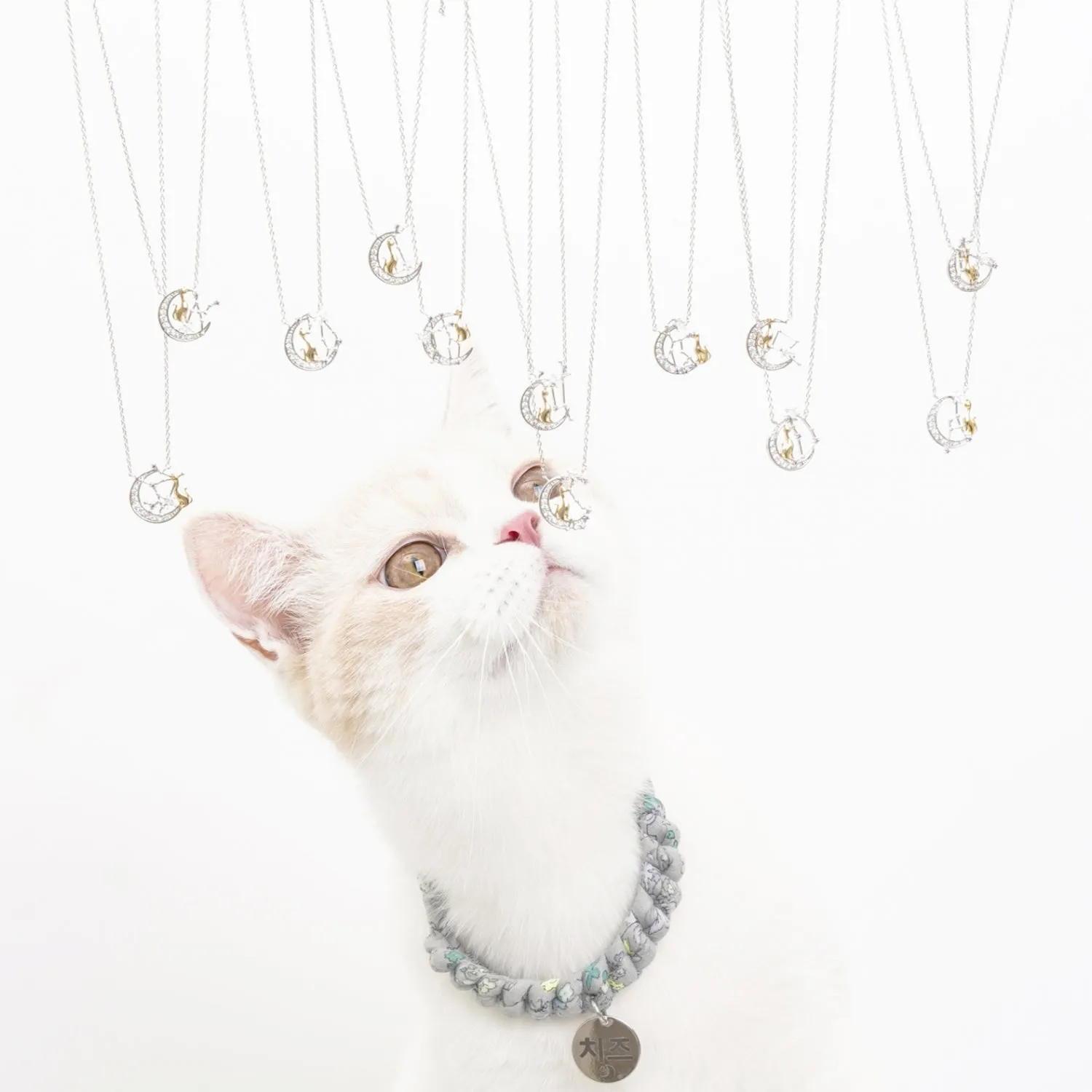 Constellation Cat Necklace