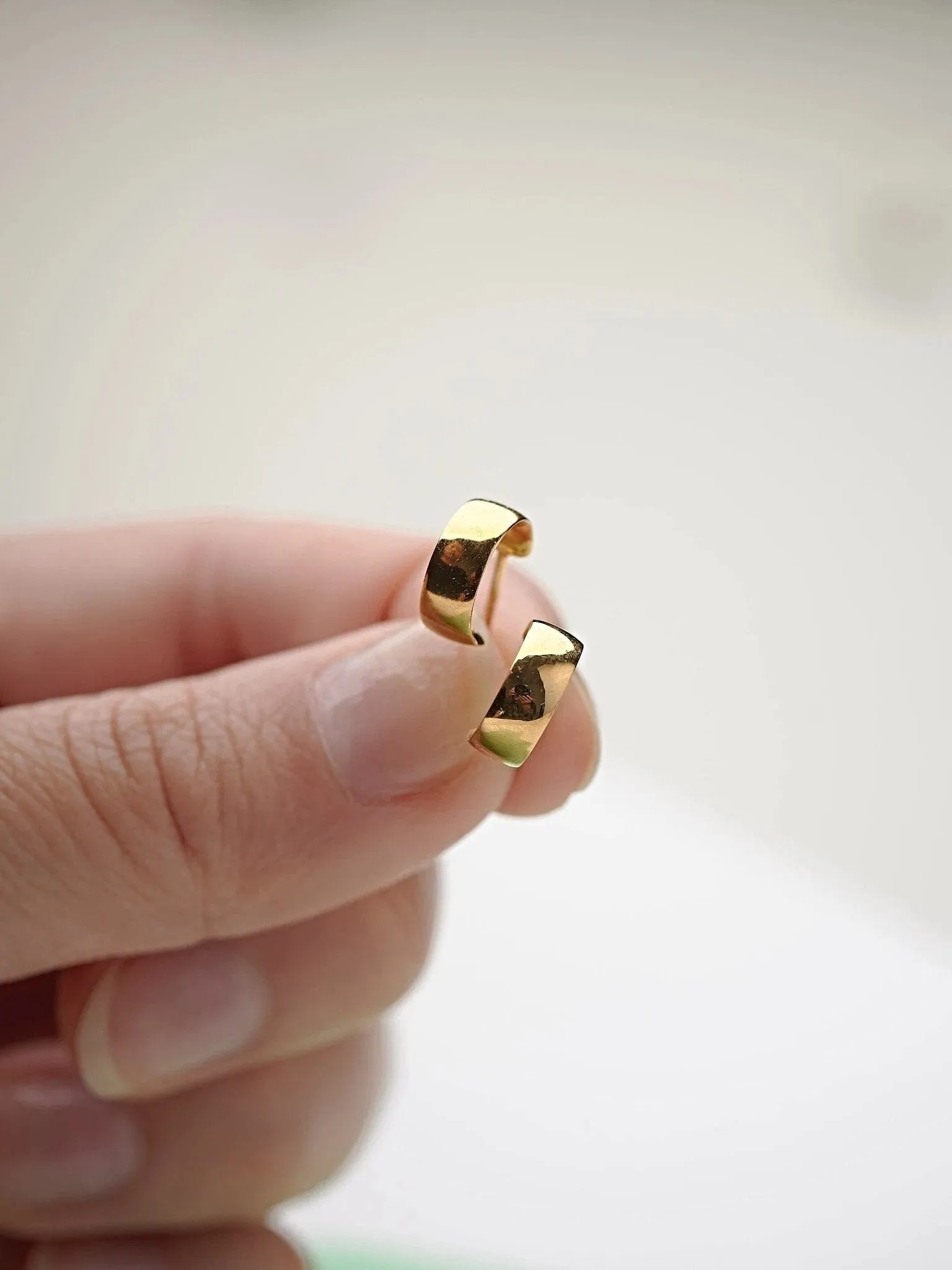 Joshil Hoops Earrings